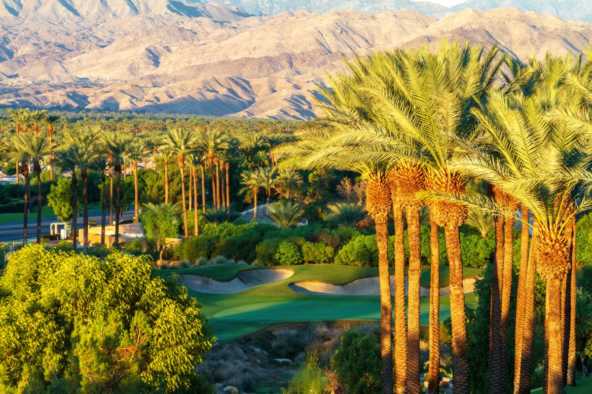 Palm,Trees,With,Golf,Course,And,Mountain,Range,In,The